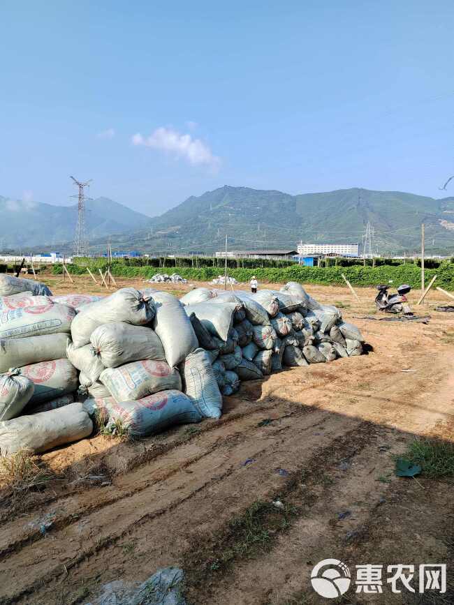 谷壳鸡屎出售