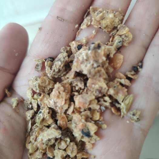 秦皇岛熟黄豆碎
