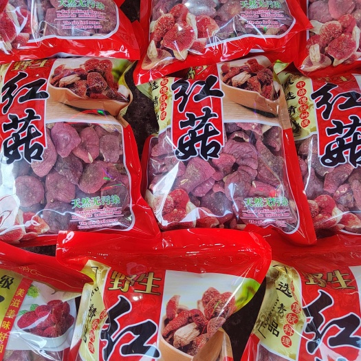 梧州野生红菇黄底菇
