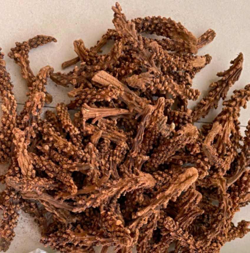 虎鞭草2斤起包邮