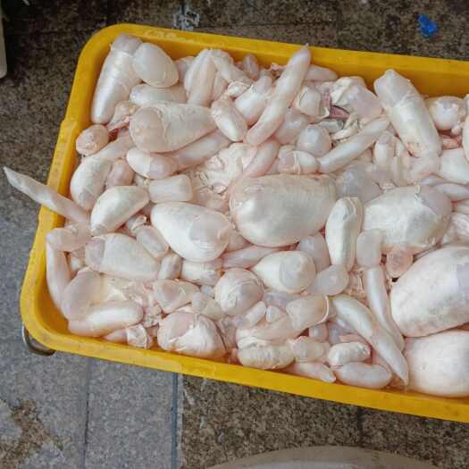 榆林鱼泡销