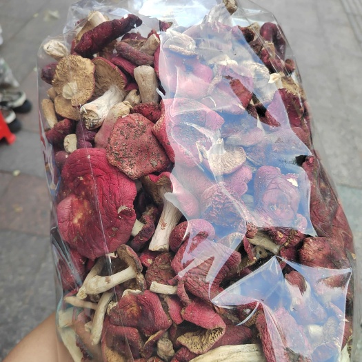 梧州野生红菇