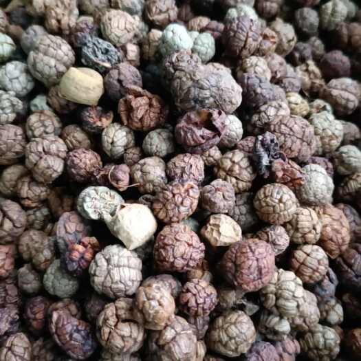 玉林越南中草寇有大货