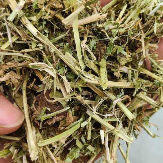 新野县南阳市优质花生秧饲料适用牛羊马过风选滚筒无土无膜
