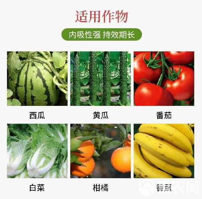 40%苯醚甲环唑预防果蔬叶斑病炭疽白粉锈病黑痘病专用农药杀菌