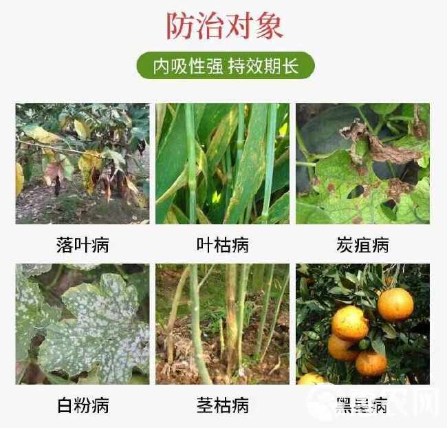 40%苯醚甲环唑预防果蔬叶斑病炭疽白粉锈病黑痘病专用农药杀菌