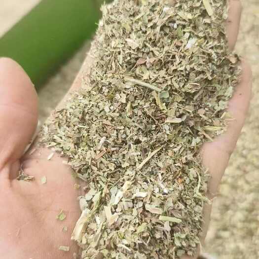新野县24年花生秧绿叶粉
