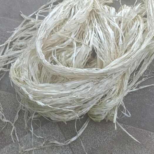 泸县葛麻
