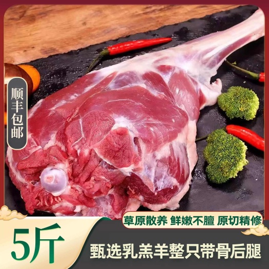 靖远县羊腿新鲜整只后腿肉现杀羔羊肉5斤烤羊腿烧烤食材