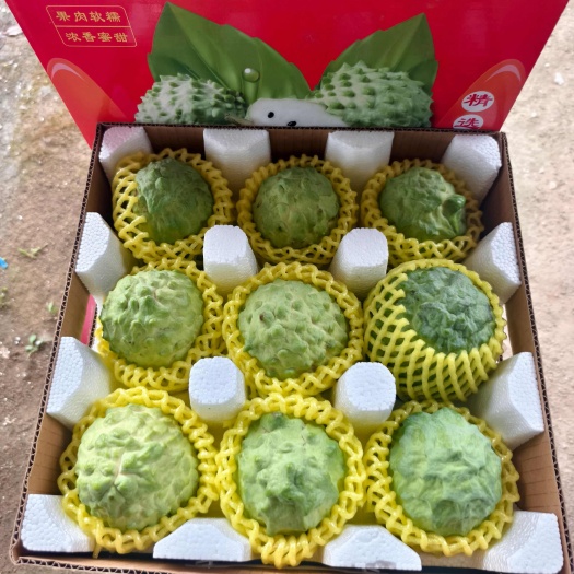 龙州县释迦果