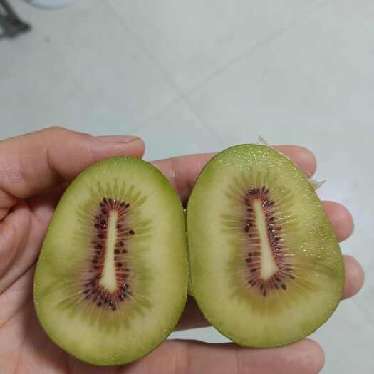 红心猕猴桃，红阳，东红品种，大果