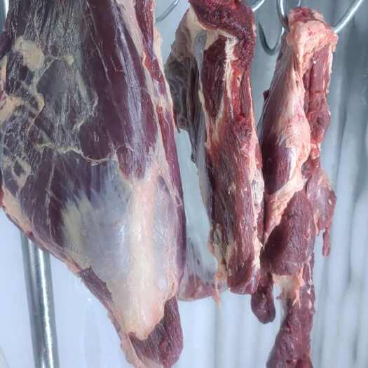 衡水鲜牛肉