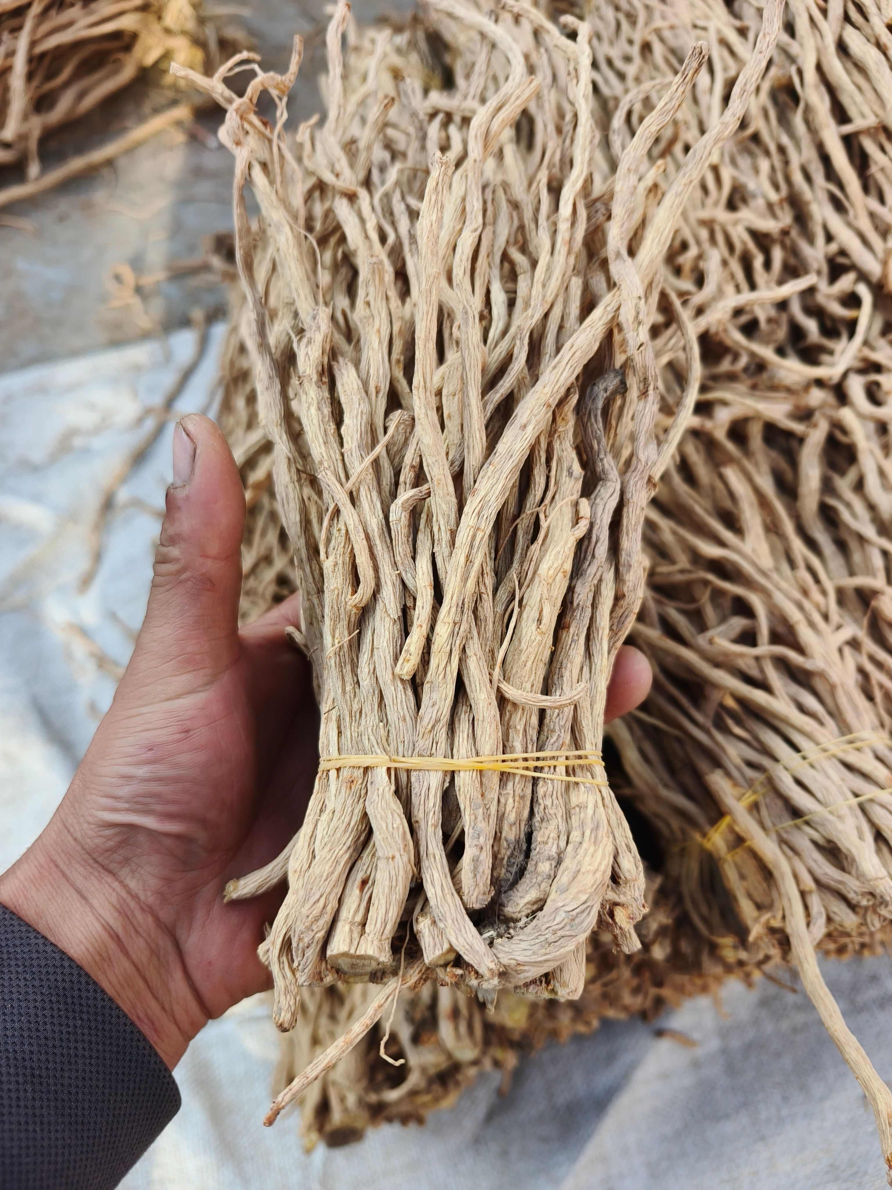 精品防风尾，大量现货，价格美丽。质量有保障，无硫，产地直发。