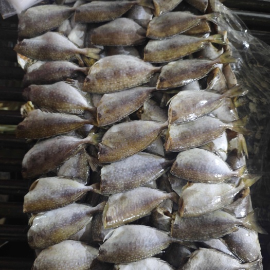 北海二去柠檬鱼，食堂、市场好货，香煎，闷  好吃停不下