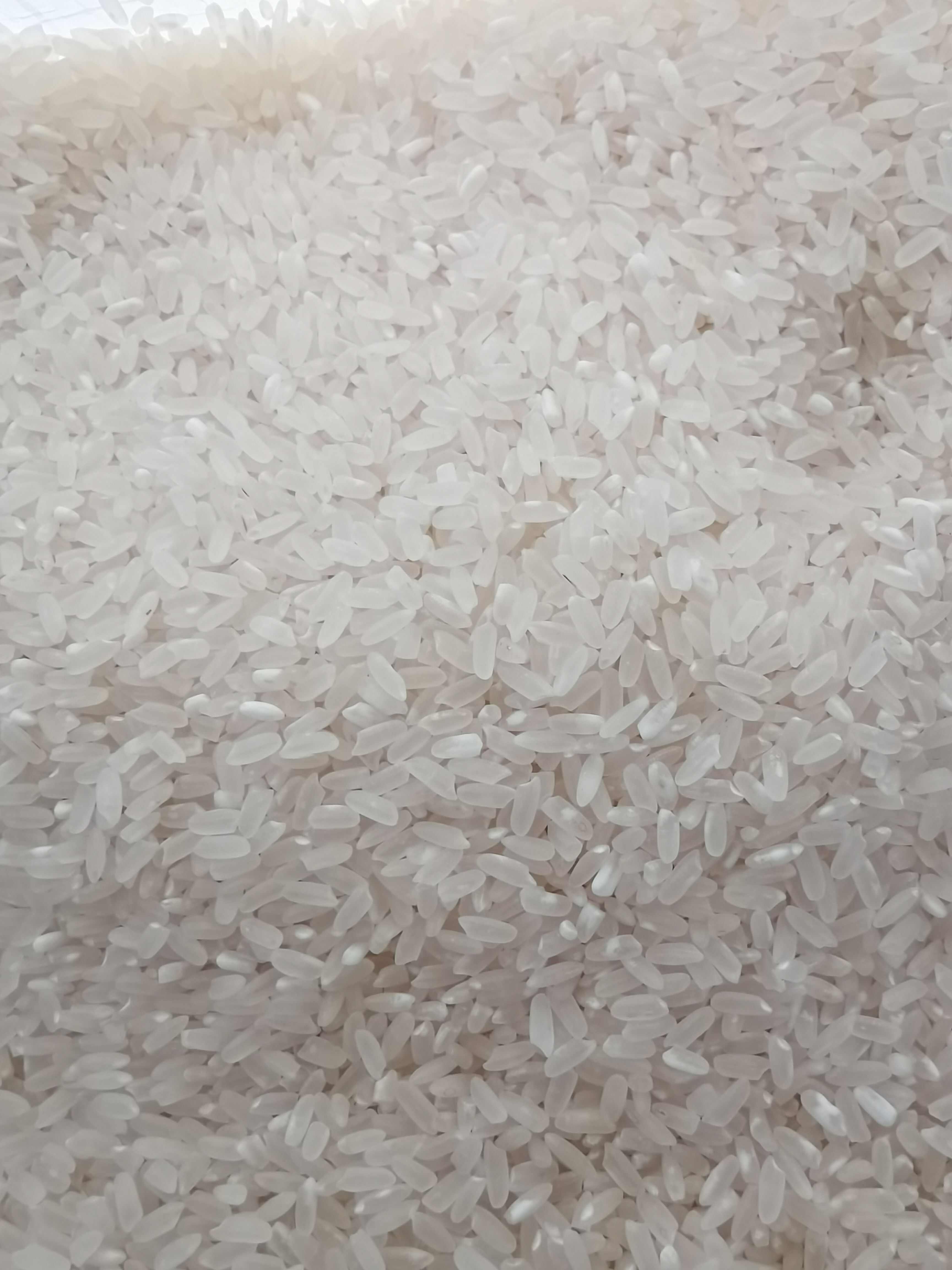 五常稻花香大米  自产自销