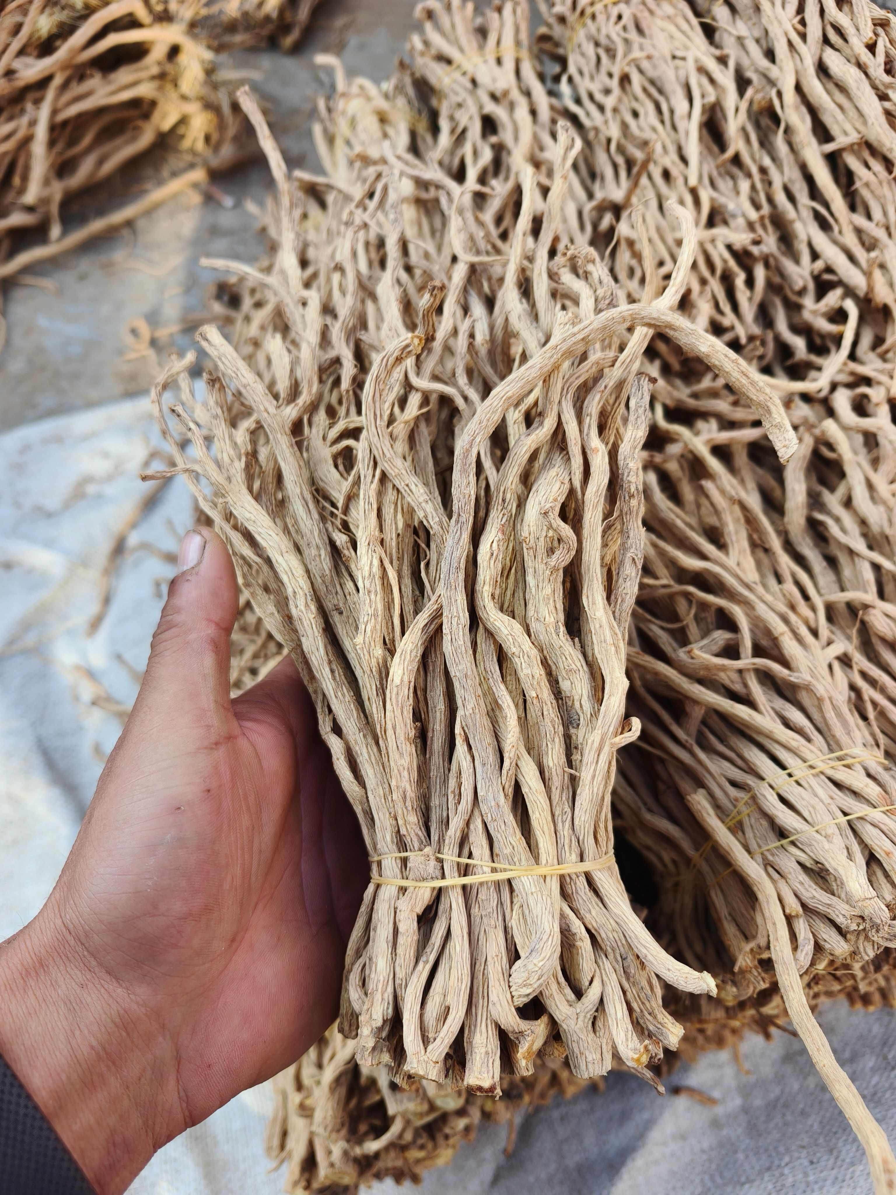 精品防风尾，大量现货，价格美丽。质量有保障，无硫，产地直发。