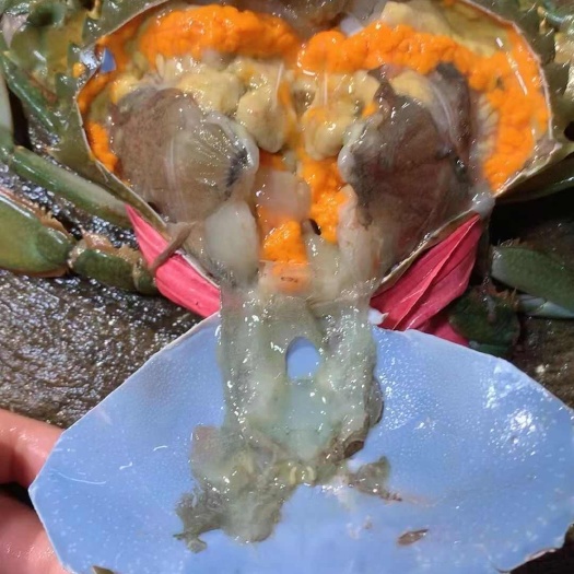 广州【产地直供】大膏蟹肉蟹奄仔蟹规格齐全酒楼批发青蟹