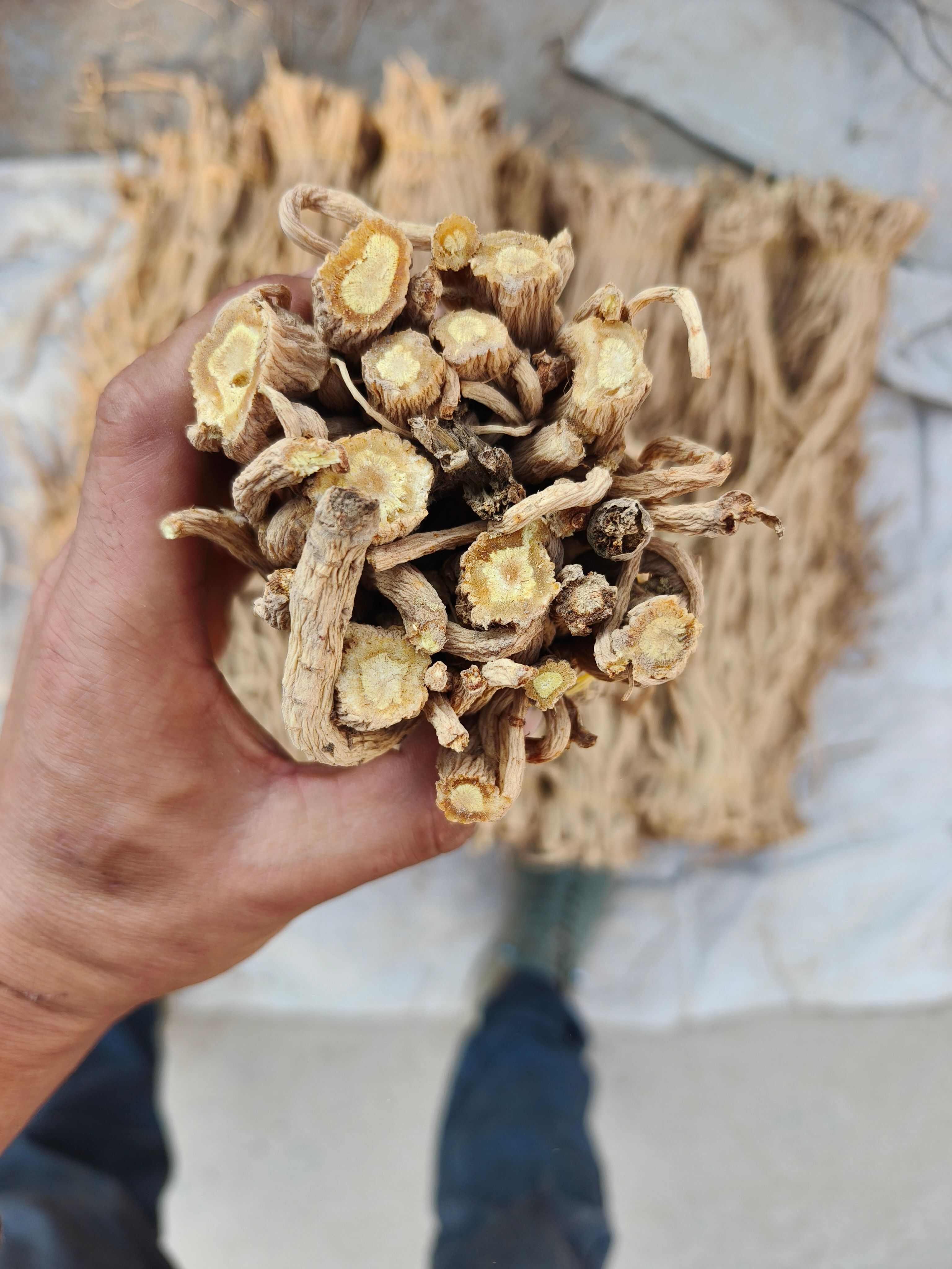 精品防风尾，大量现货，价格美丽。质量有保障，无硫，产地直发。