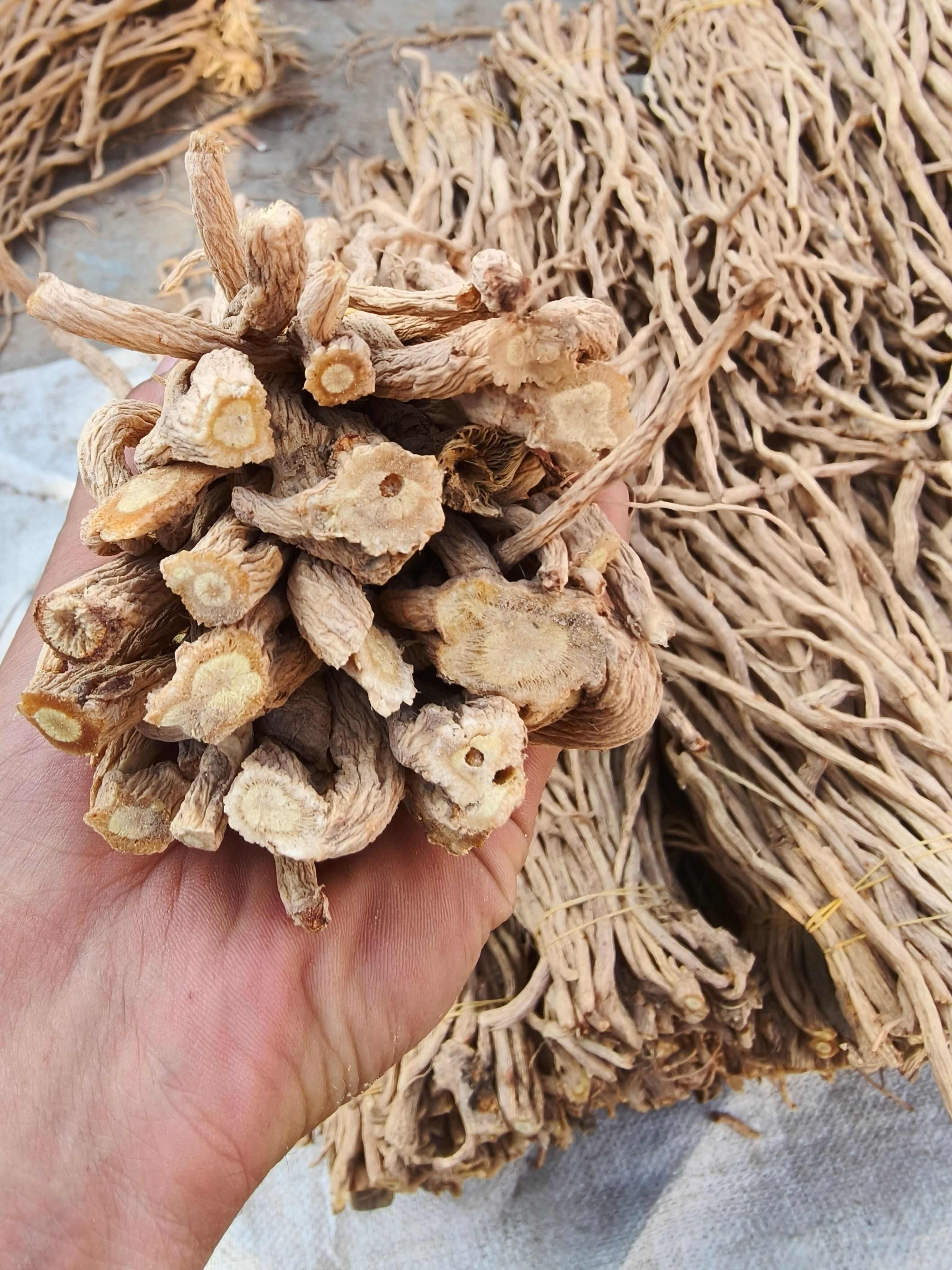 精品防风尾，大量现货，价格美丽。质量有保障，无硫，产地直发。