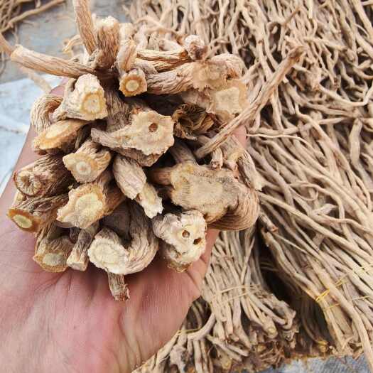 陇西县精品防风尾，大量现货，价格美丽。质量有保障，无硫，产地直发。