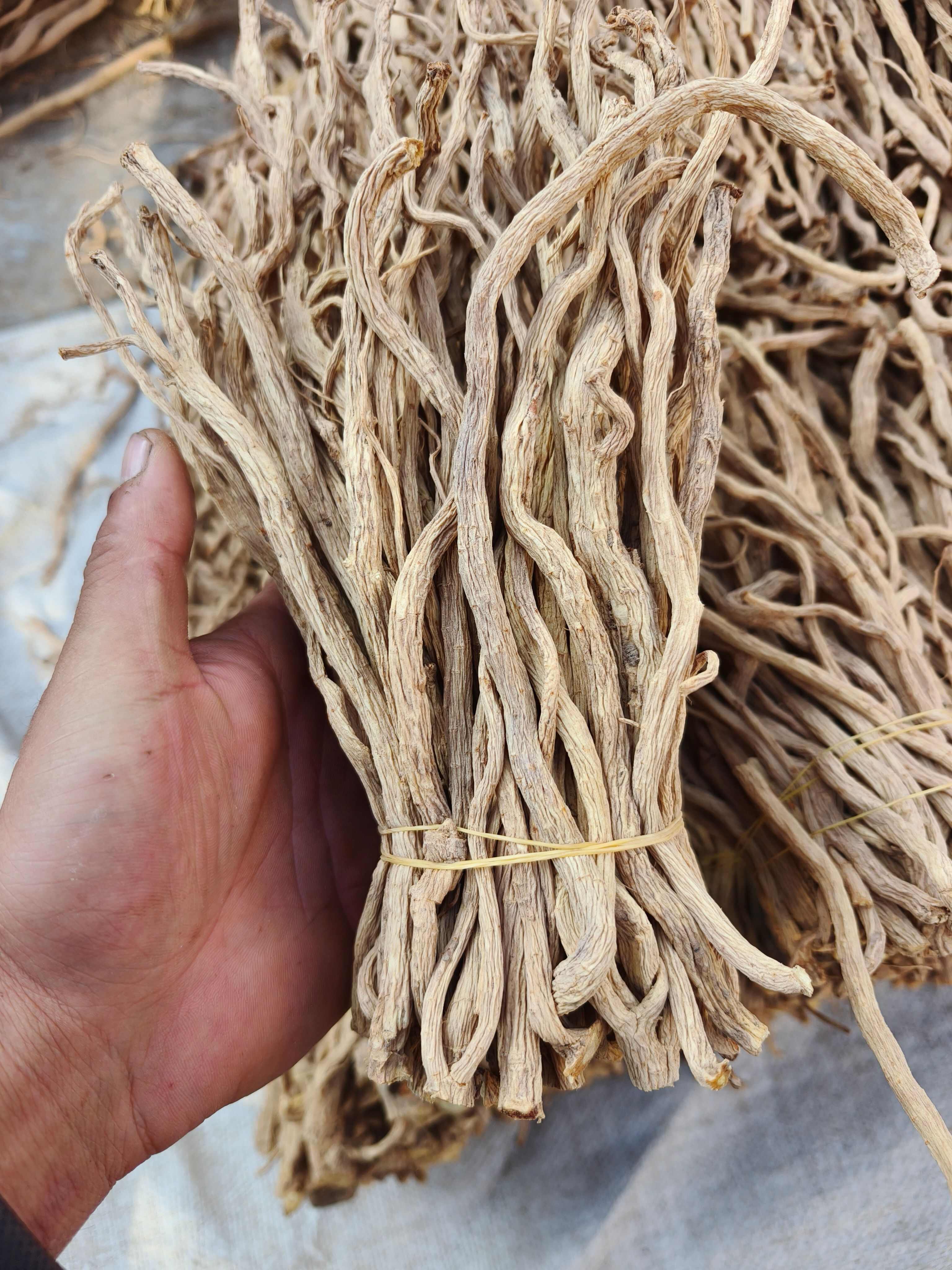 精品防风尾，大量现货，价格美丽。质量有保障，无硫，产地直发。