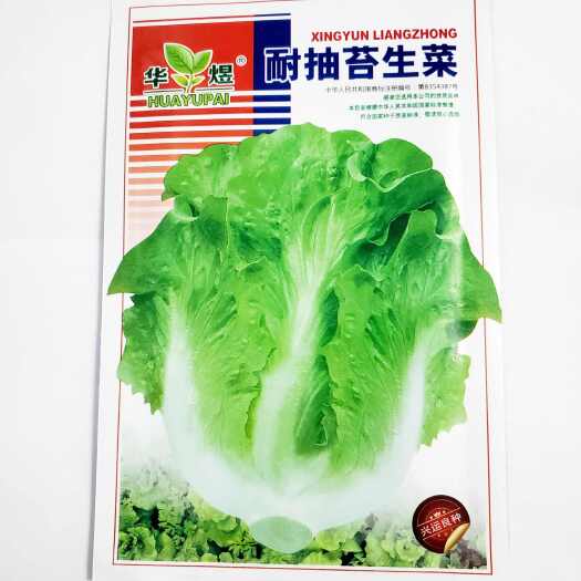 成都奶油生菜种籽香甜四季播蔬菜种子生菜籽有机农家田园阳台庭院盆栽