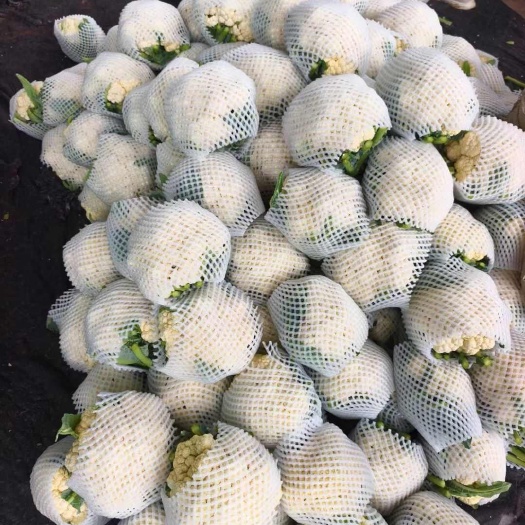 邯郸菜花散花