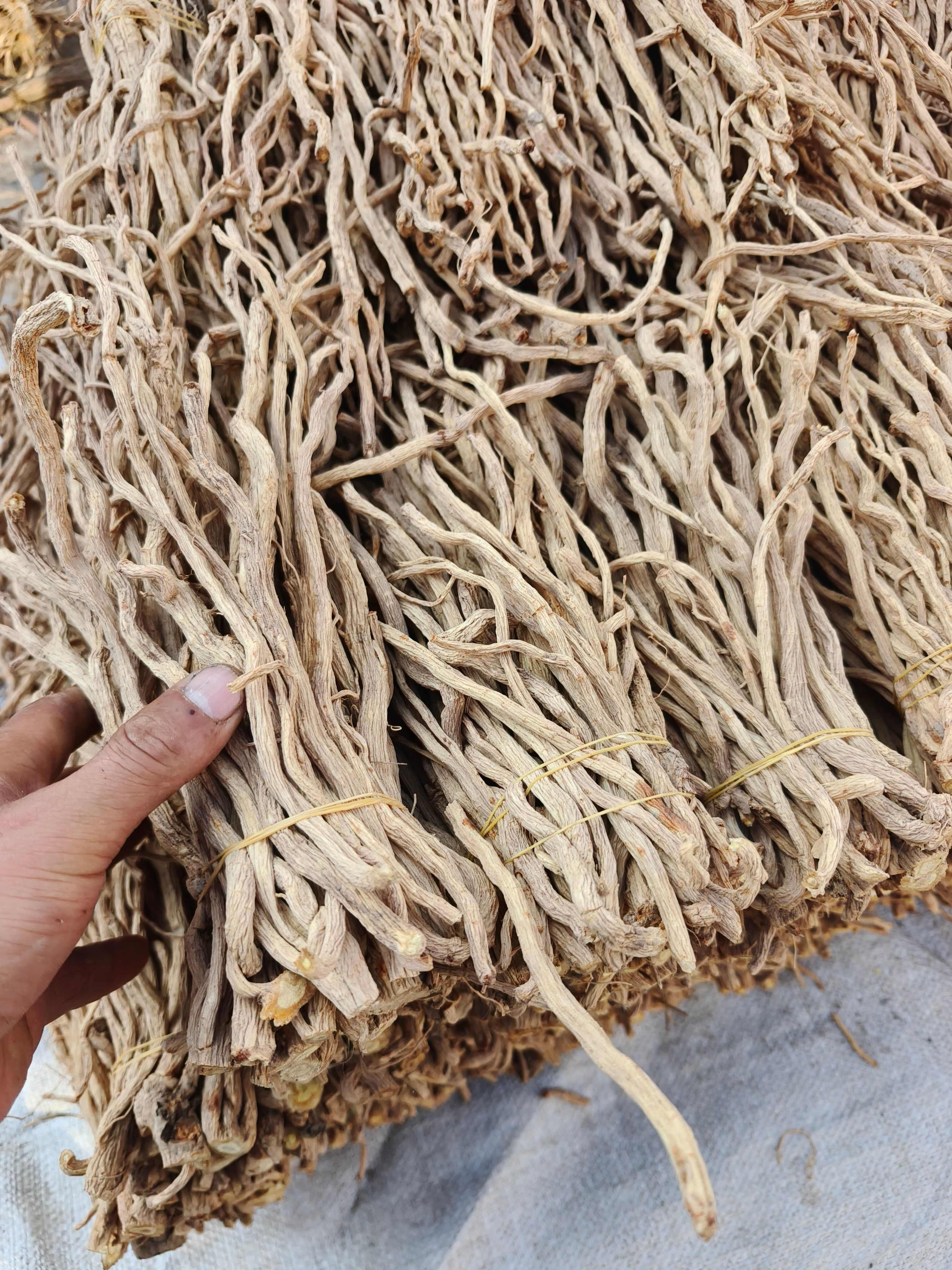 精品防风尾，大量现货，价格美丽。质量有保障，无硫，产地直发。
