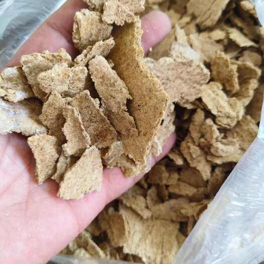 石家庄玉米饼