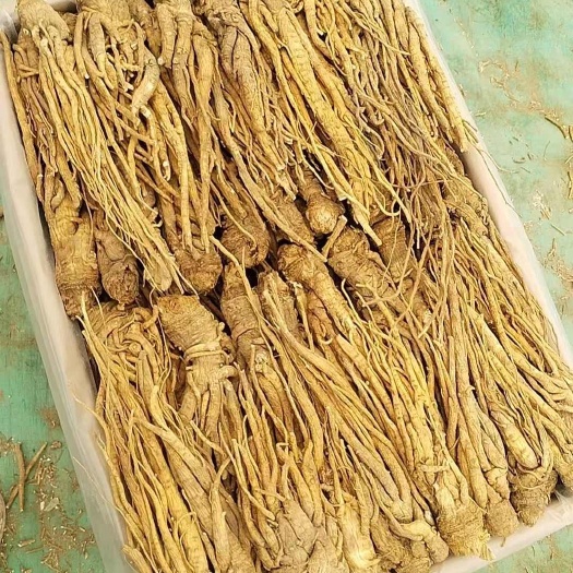 甘洛县需要当归的联系