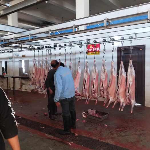 榆林山羊肉