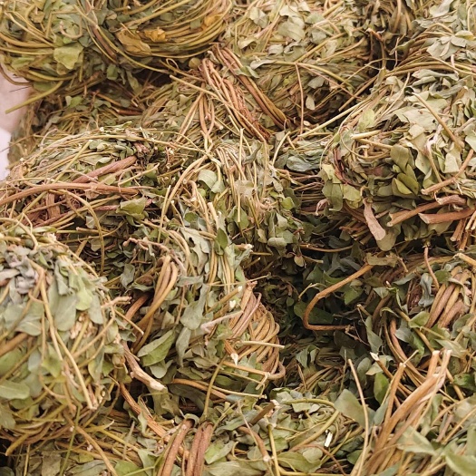 鸡骨草