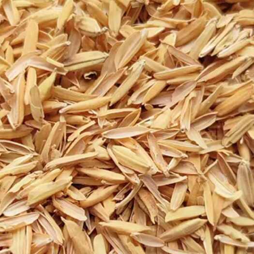 南宁农家稻谷壳，垫料新鲜谷壳通用蔬菜种植营养土园艺肥料改良土壤