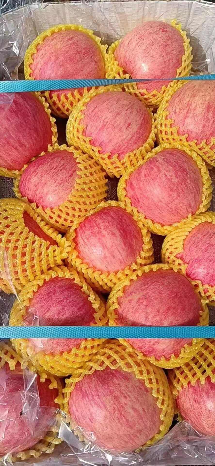 什么颜色的苹果(什么颜色的包包一年四季都好搭配)