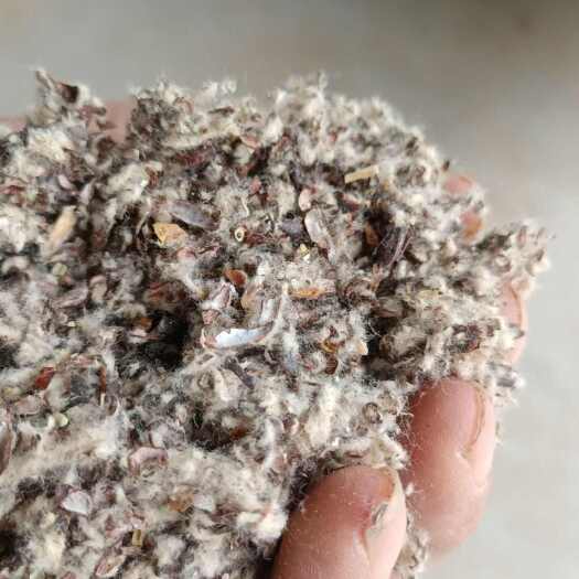 荥阳市河南郑州棉籽壳