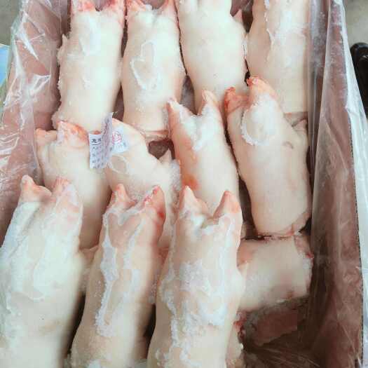 郑州国产精制前蹄，白净个头均匀