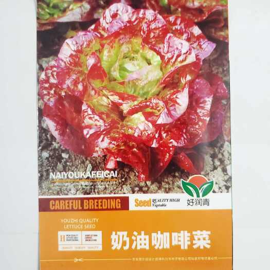 成都奶油咖啡紫生菜种子紫叶生菜籽耐热四季播冬季耐寒保健蔬菜种