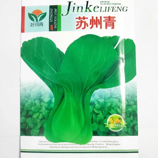 成都苏州青种子矮脚青菜种子四季黑叶油菜籽阳台盆栽春秋蔬菜种孑