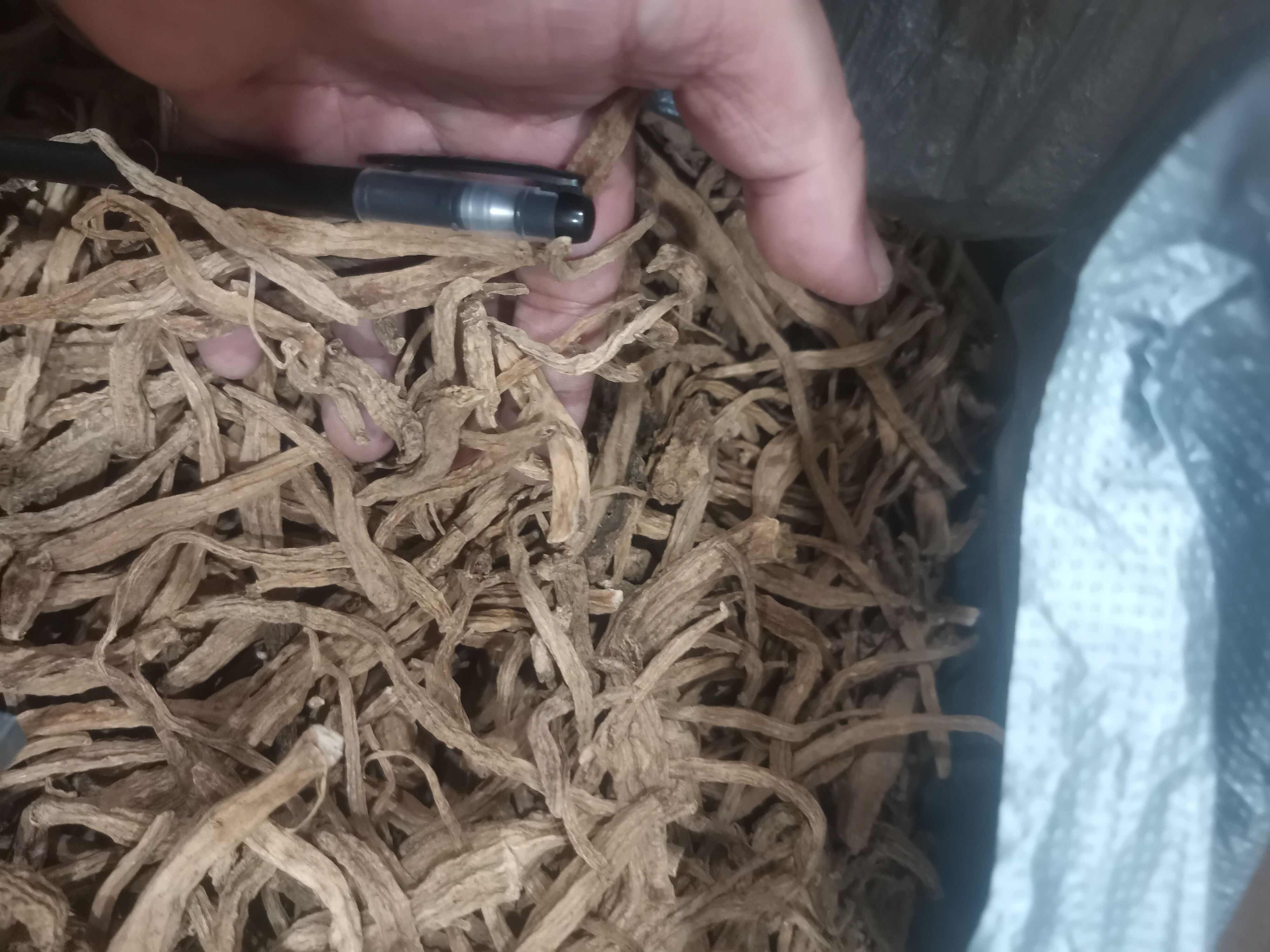 土党参，土党参，奶浆根，无硫磺水洗足干货，产地一手货源