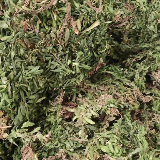 砚山县千层塔  千层草 全干