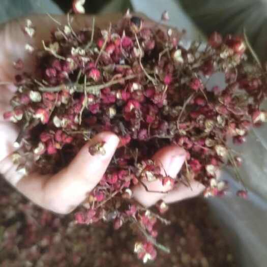 洛阳花椒（毛椒）