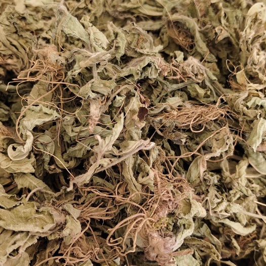 玉林地胆草