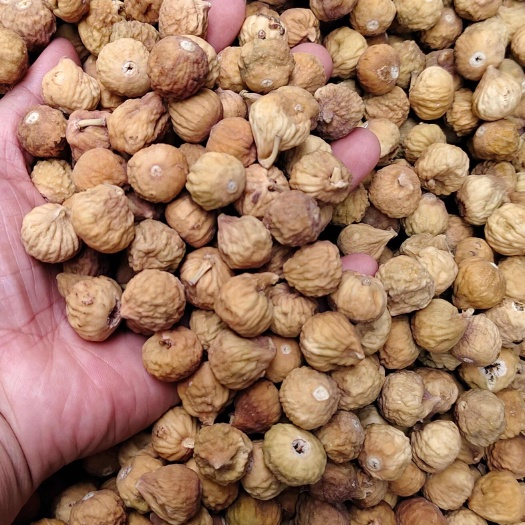 玉林无花果干