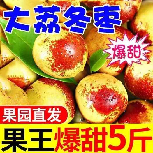 滨州陕西大荔冬枣新鲜水果当季冰糖牛奶青红枣脆甜蜜3枣子大枣果农发