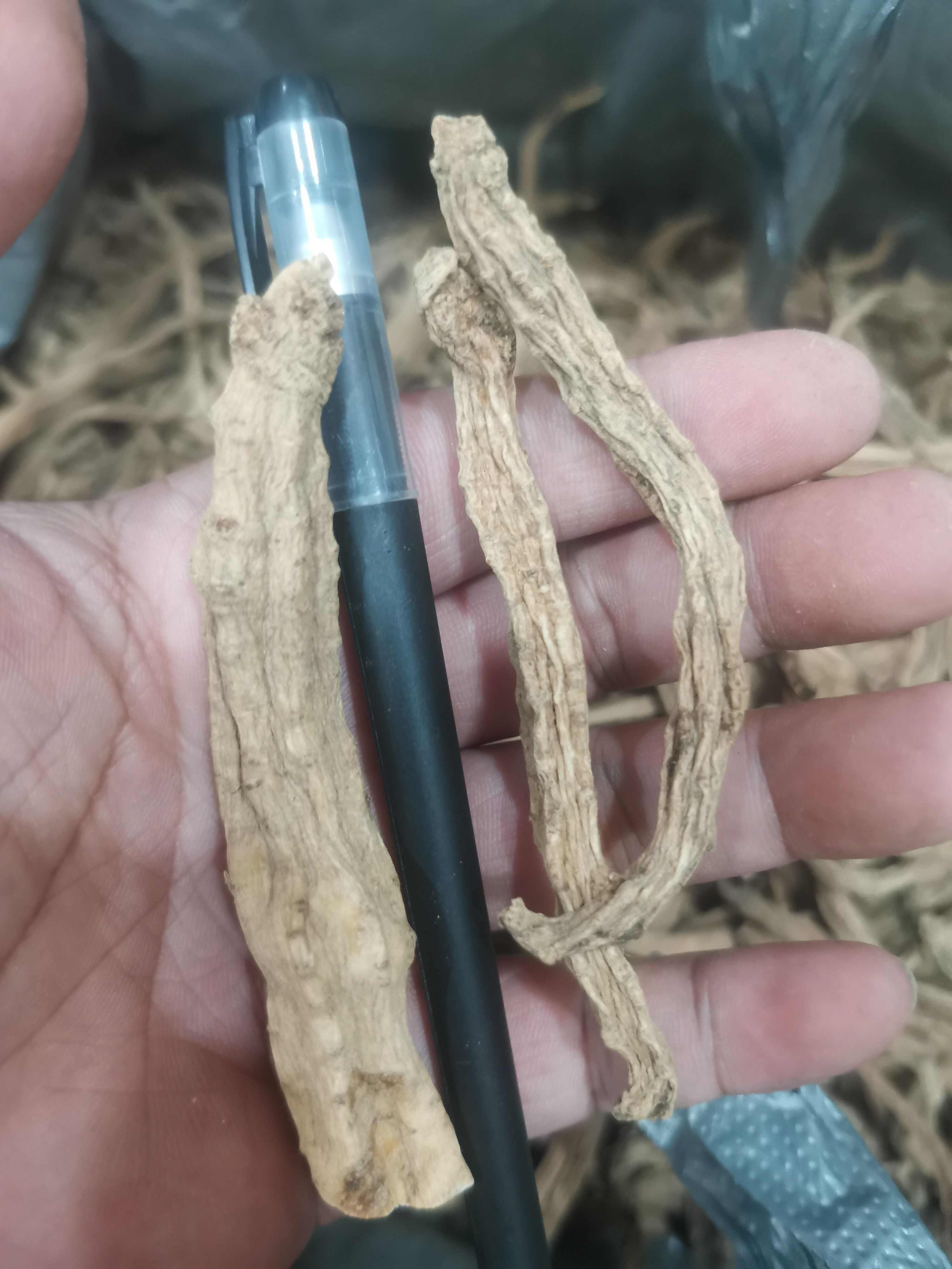 土党参，土党参，奶浆根，无硫磺水洗足干货，产地一手货源