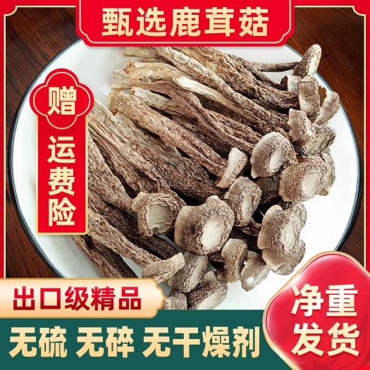 玉林鹿茸菇干货500g鹿茸菌云南特产脆脆菇特级食用菌煲汤菌类干货