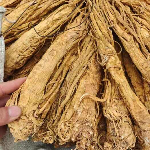 陇西县独活个子  片子