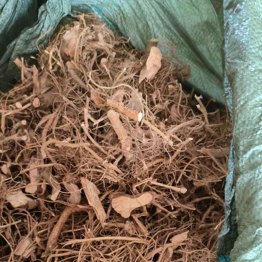 连南县牛奶根切段货