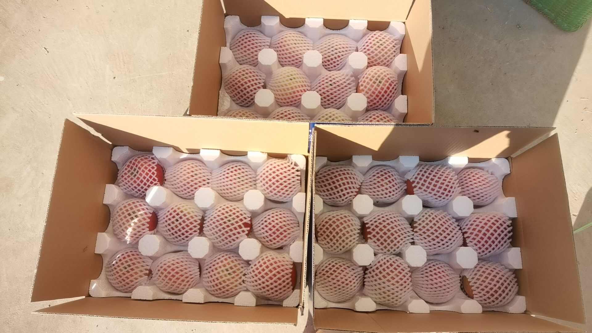 云南昭通苹果现摘现发不抛光不打腊