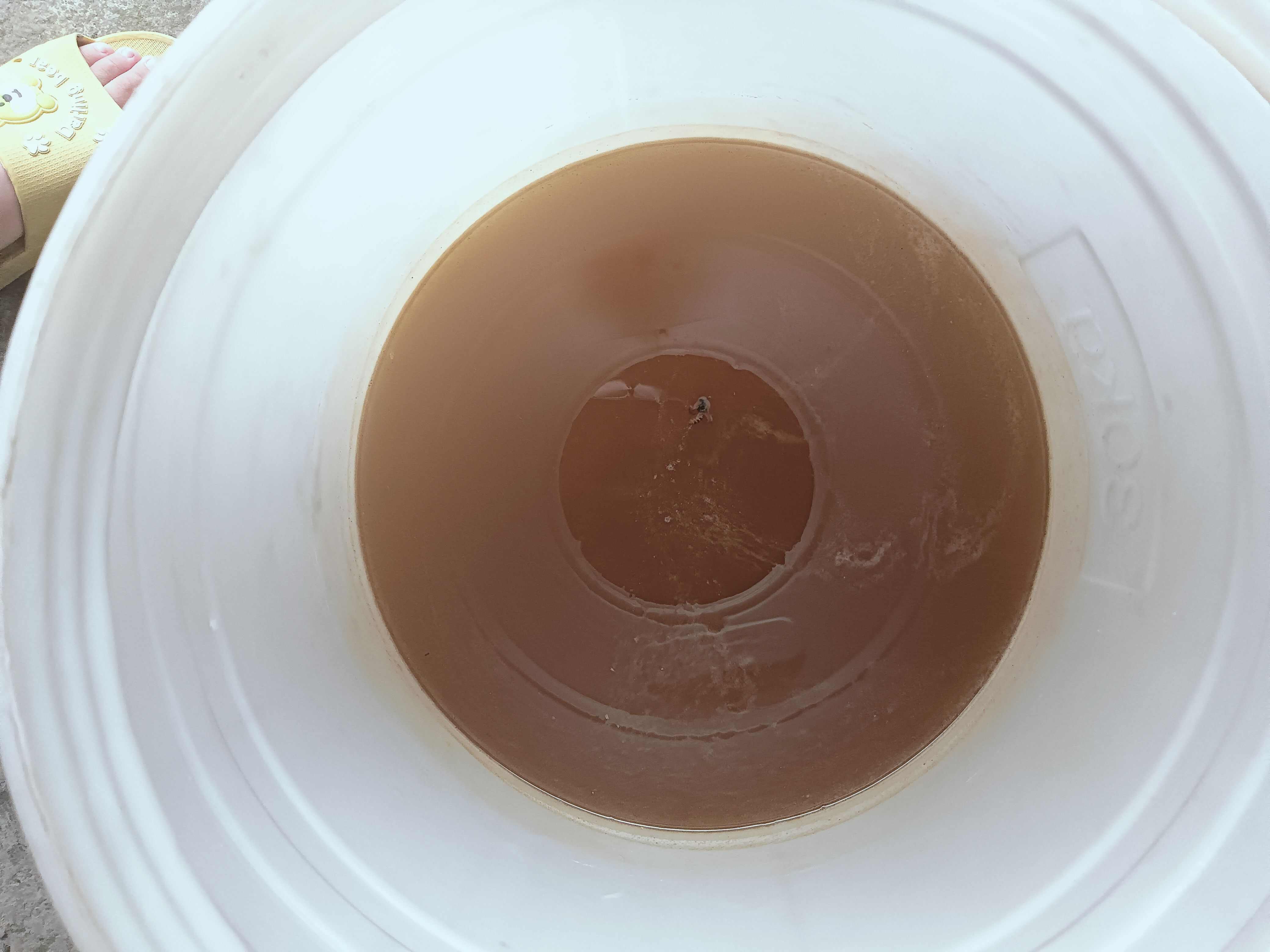 蜂蜜过了保质期是什么样子(蜂蜜过了保质期还有什么用) 蜂蜜过了保质期是什么样子(蜂蜜过了保质期还有什么用)